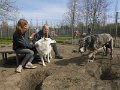Afb_20160422 (10)